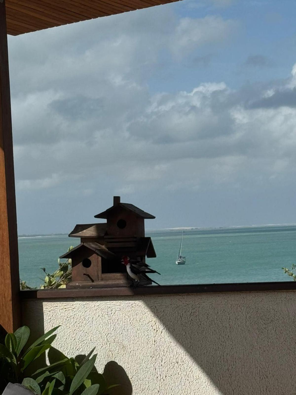 Pousada Amazing Jeri Jijoca de Jericoacoara Kültér fotó